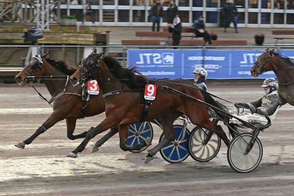 3 - Demone D'Asti.jpg