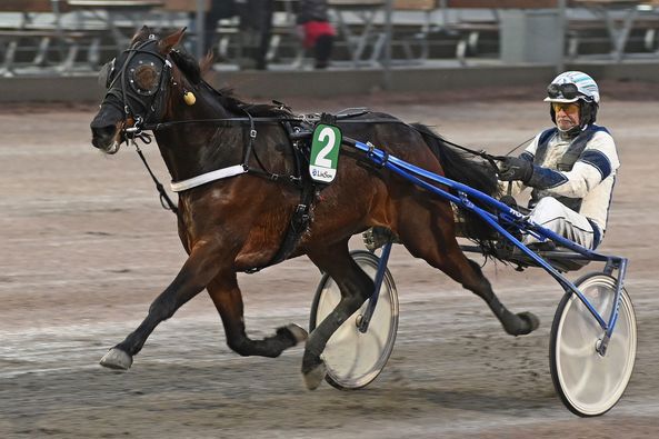 4 - Ekas Zalming.jpg
