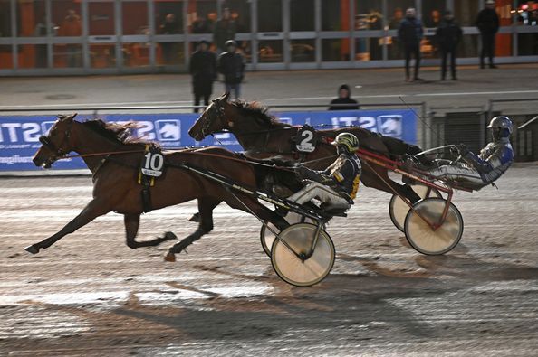 6 - Frankie Godiva.jpg