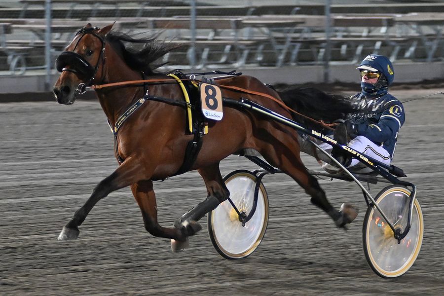 7 - Frankie Godiva.jpg