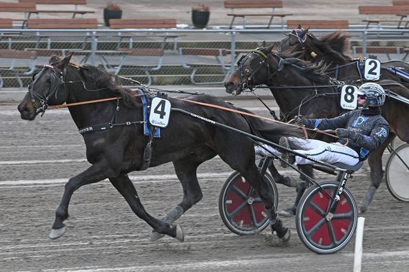 5 - Filip Winner.jpg