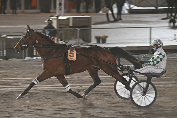 11 - Eros Zola.jpg