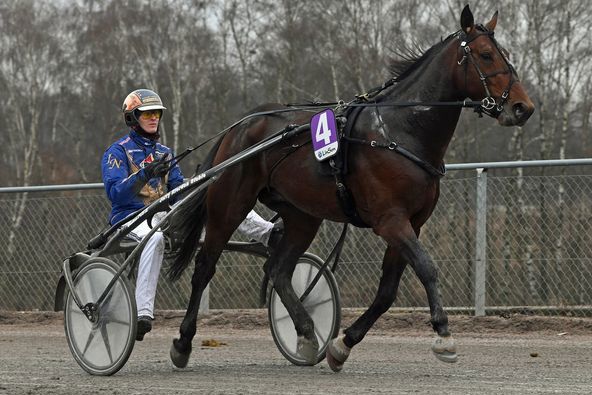 8 - Dubbio Amletico.jpg