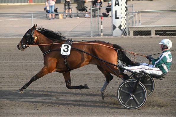 5 - Hvenhilda Quick.jpg