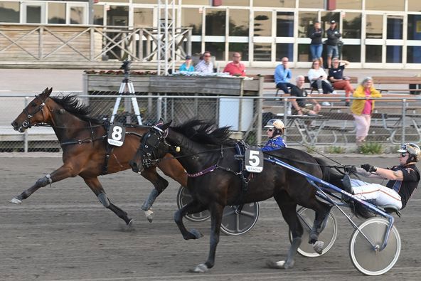 6 - Arcoveggio.jpg
