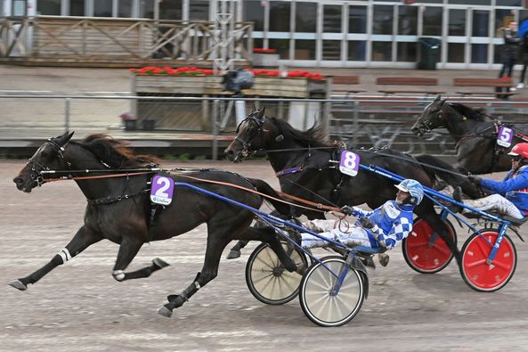 8 - Thewinnertakeitall.jpg