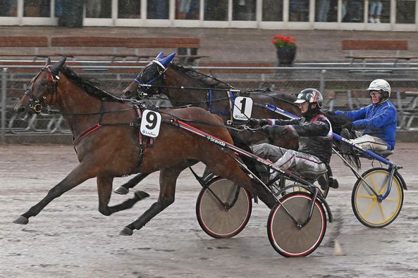 5 - Boscha Diablo.jpg