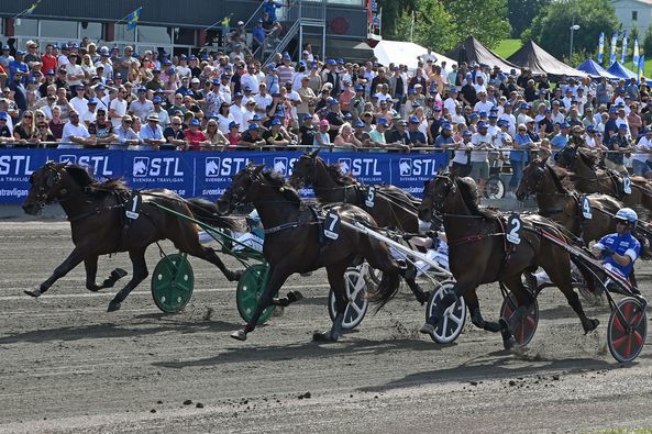 6 - Dubbio Amletico.jpg