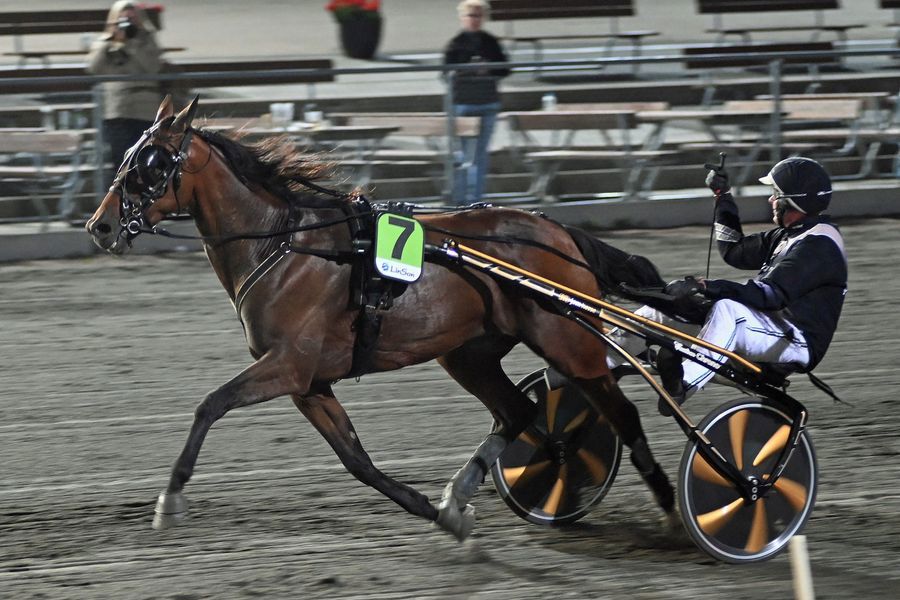 9 - Dencos Galliano.jpg