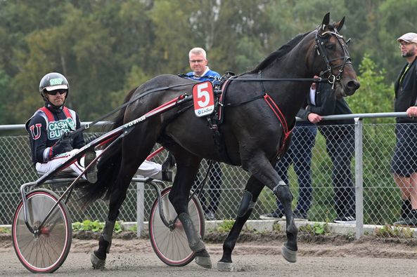 3 - Mateo Di Quattro.jpg