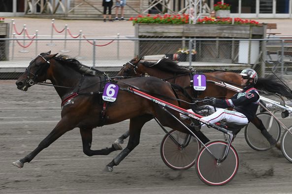 8 - Alvena Matteus.jpg